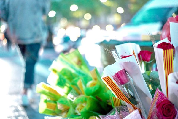 Actualités sur la santé et le bien-être : vos questions fréquentes répondues